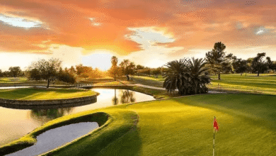 A Comprehensive Guide to Golf Schools