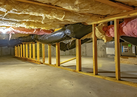 Is Your Crawl Space a Pest Magnet