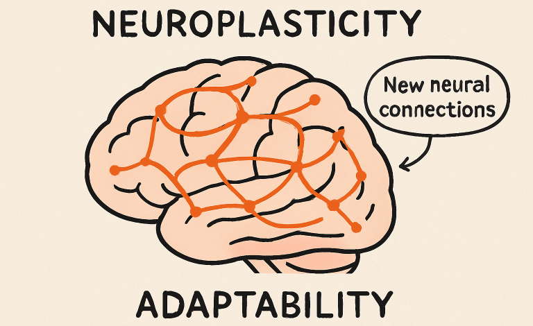 Functional Neurology
