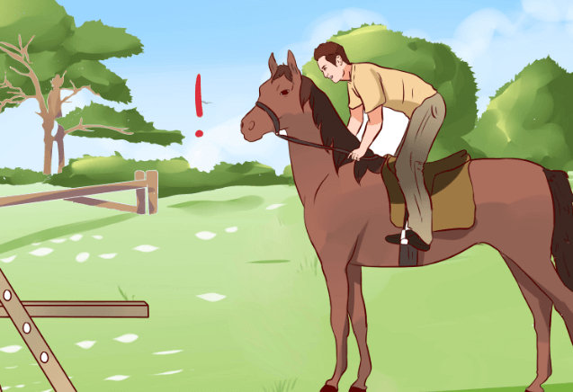Horse Jumps Shape Rider
